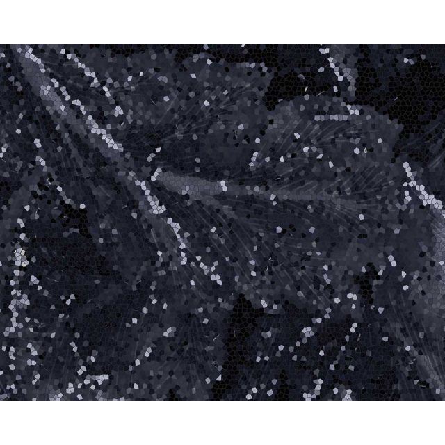 Emil Ceramica Tele di Marmo Revolution EHAS Grande Lastra 120x278