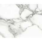 Emil Ceramica Tele di Marmo Selection EJW0 Grande Lastra 120x278-Arabescato Corchia - Emilceramica
